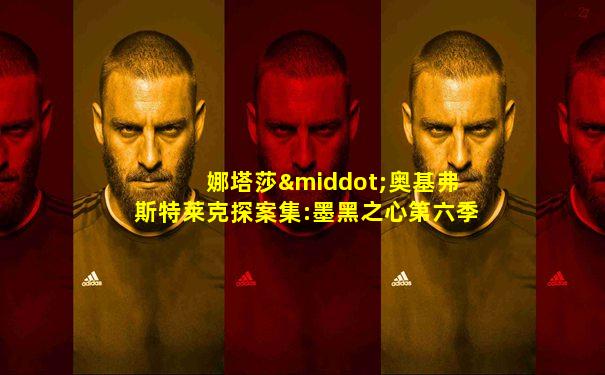 娜塔莎·奥基弗 斯特莱克探案集:墨黑之心第六季